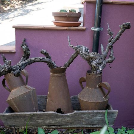 Agriturismo Etna-Mare Piedimonte Etneo Zewnętrze zdjęcie