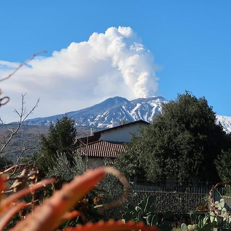 Agriturismo Etna-Mare Piedimonte Etneo Zewnętrze zdjęcie