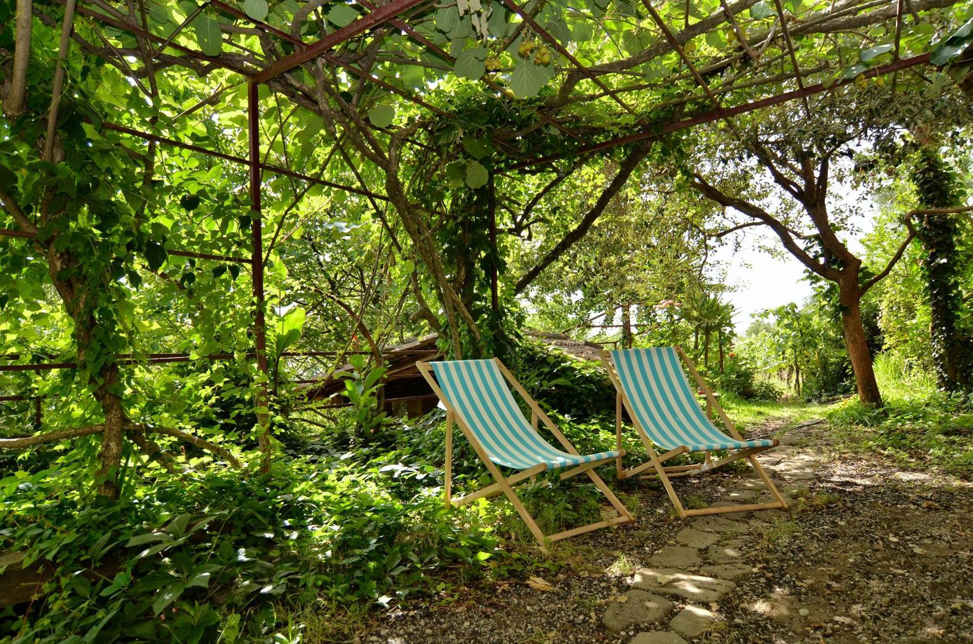 Agriturismo Etna-Mare Piedimonte Etneo Pokój zdjęcie