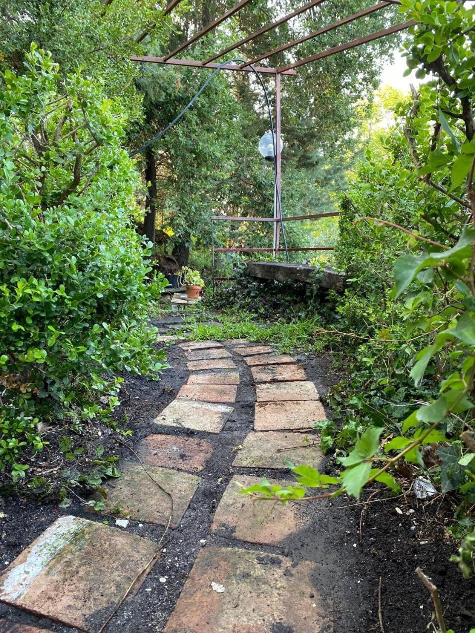 Agriturismo Etna-Mare Piedimonte Etneo Pokój zdjęcie