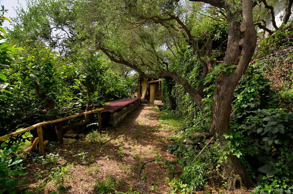 Agriturismo Etna-Mare Piedimonte Etneo Zewnętrze zdjęcie