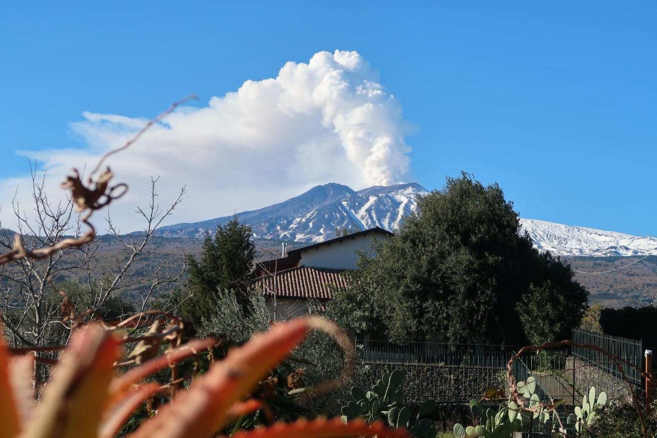 Agriturismo Etna-Mare Piedimonte Etneo Zewnętrze zdjęcie